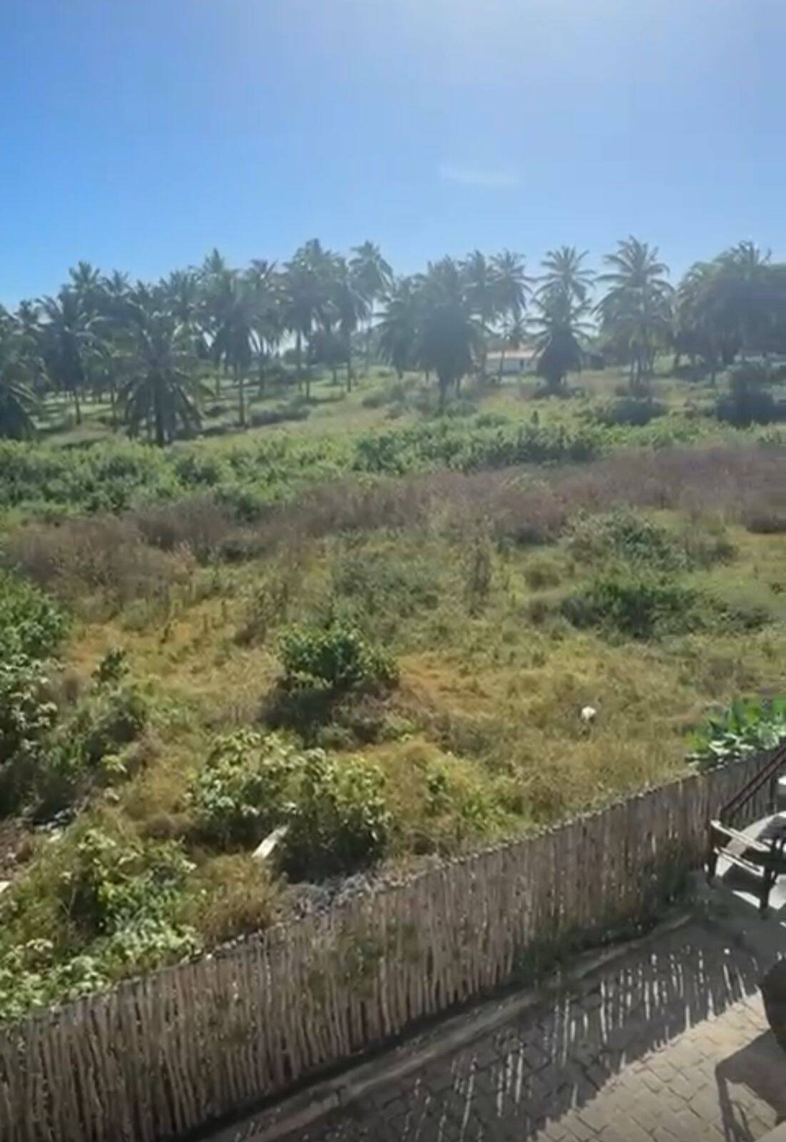 Terreno, 2 hectares - Foto 2