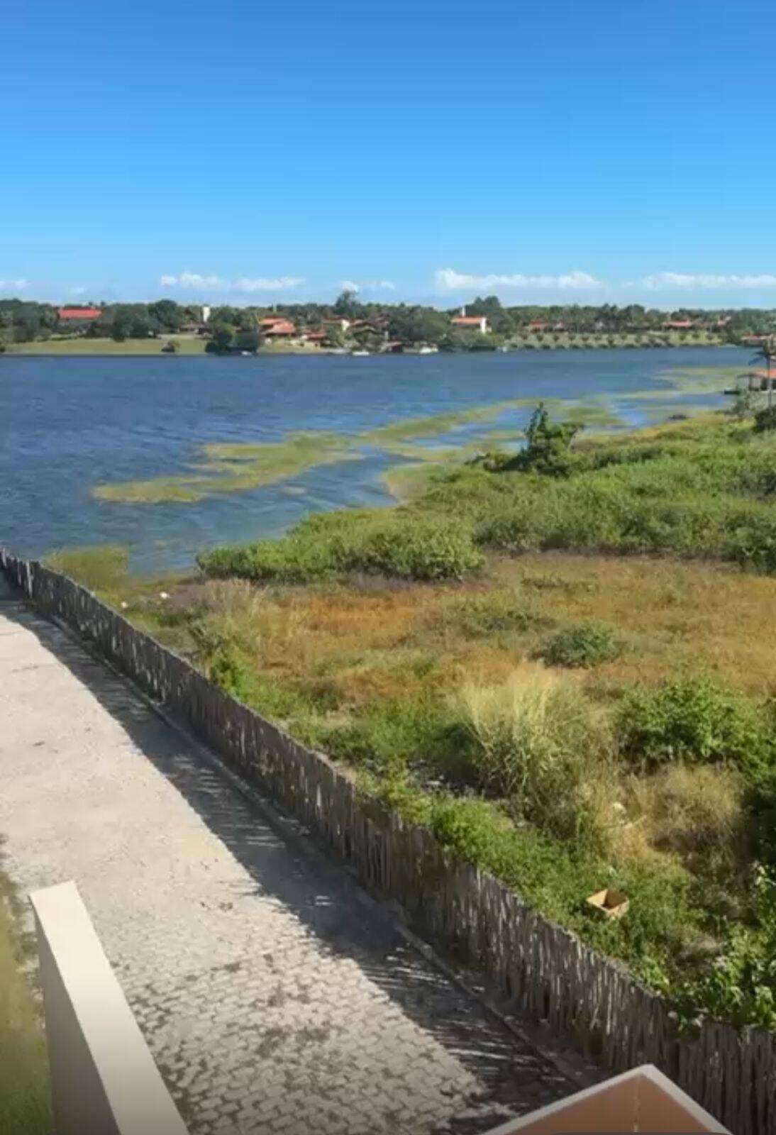 Terreno, 2 hectares - Foto 4