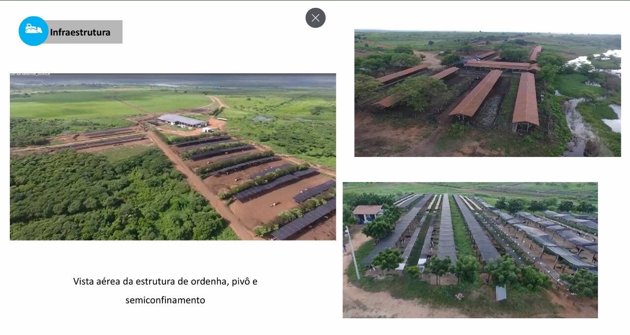 Terreno, 2 hectares - Foto 4