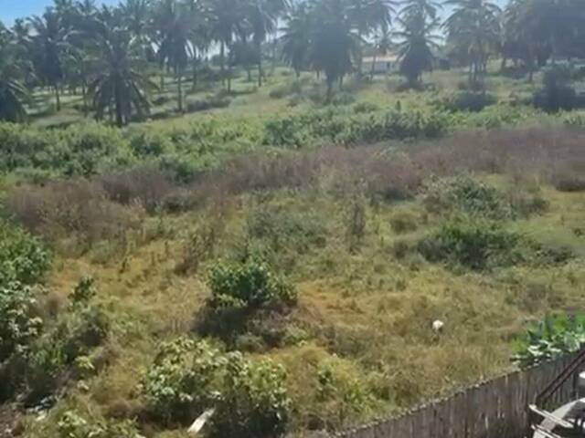 #243 - Área para Venda em Beberibe - CE - 2