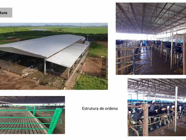 #247 - Chácara para Venda em Russas - CE - 3