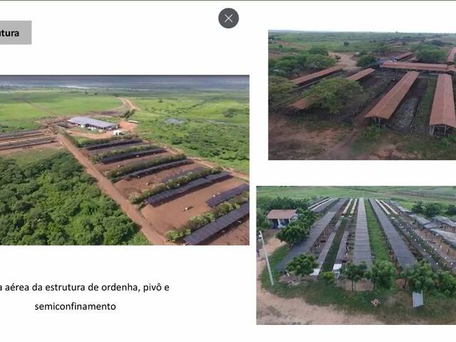 Chácara para Venda em Russas - 4